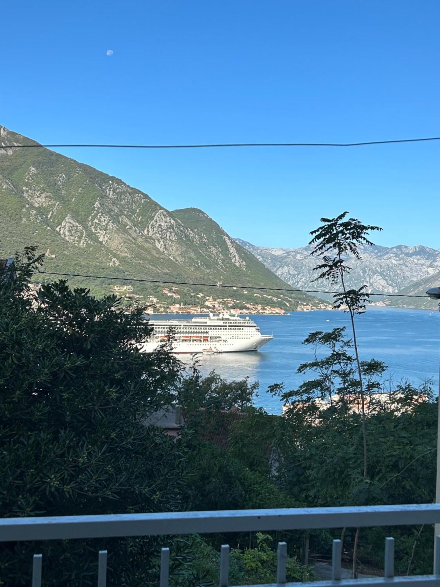 Blue Shell Apartments Kotor Buitenkant foto